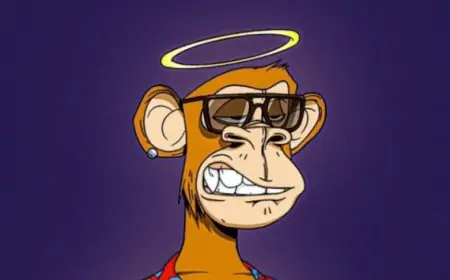 NFTs Future OpenSea.io Marketplace Facing Changes Ahead