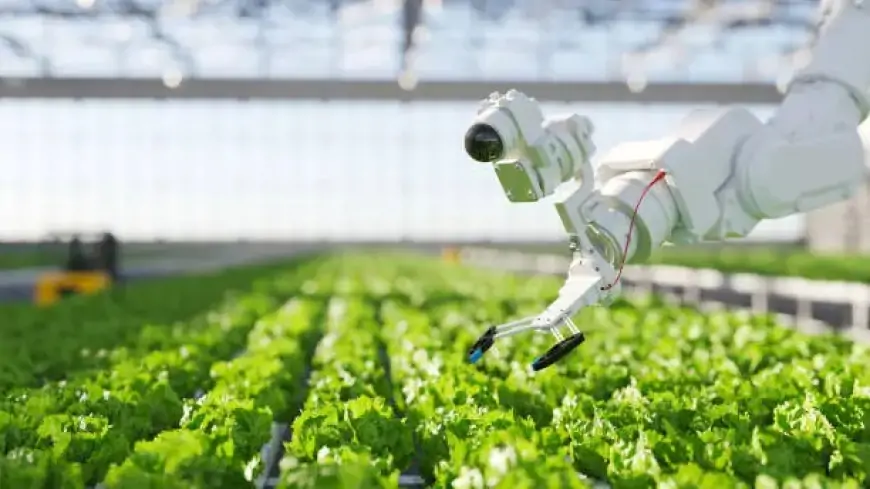From Courtroom to Crop Field: Dozy Mmobuosi Unveils AI-Driven Farming Revolution