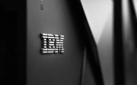 Unveiling Granite 3.2: IBM's Sleek New AI Model for Smart Inference! And Practicality