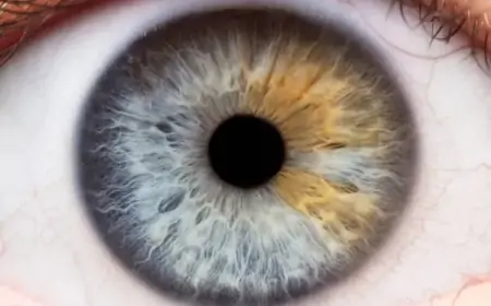 Look into the Future: OpenAI Launches Groundbreaking Iris-Based Authentication in Their New World App!