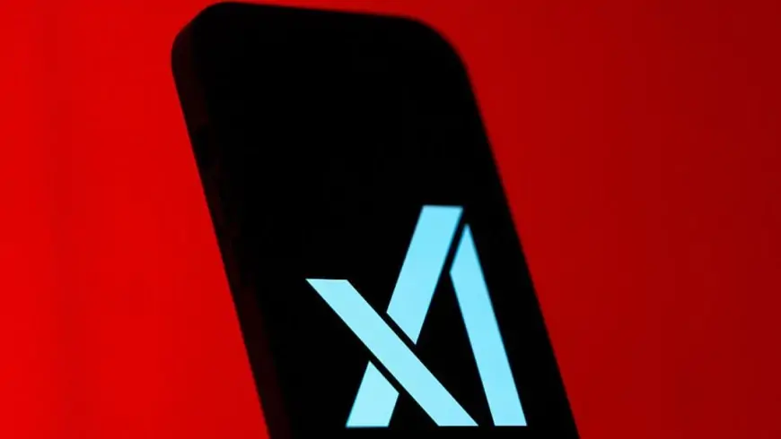 DOGE Staffer Leaked Private xAI API Key