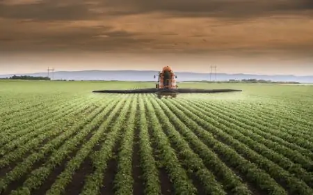 Ghana Secures $100M Funding to Pioneer AI-Powered Agricultural Hub in Africa