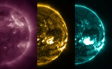 Small Efficient AI Models Gain Ground for Everyday Devices and Remote Research