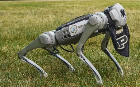 Purdue University Mandates AI Competency for All Undergrads