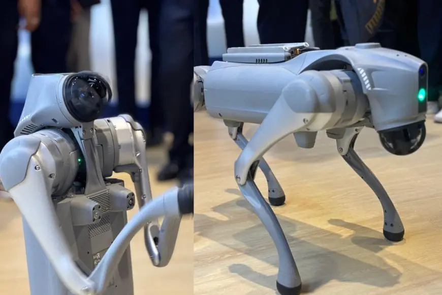 Galgotias University Faces Backlash Over Claims of ‘Inventing’ Chinese Robotic Dog at Delhi AI Summit