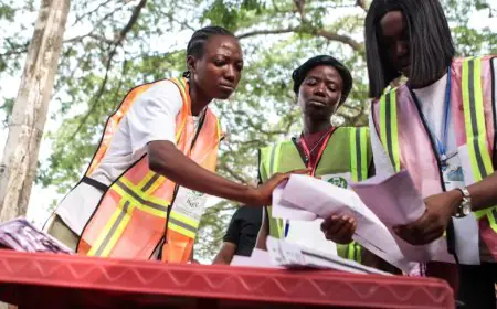 Nigeria Plans To Stop AI  Disformation From Ruining The 2027 Elections