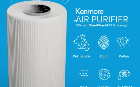 Why the Kenmore PM1005 is the ultimate secret weapon for allergy relief