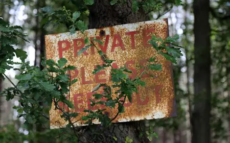 OpenAI, Google, Microsoft and Anthropic Back One AI Training Opt-Out but Keep Scraping