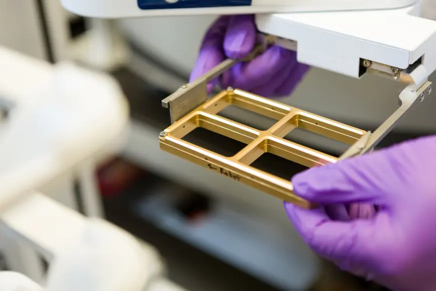 A Biotech Startup Says Its AI Agent Ran a Mouse Brain Injection After Claude Opus Refused